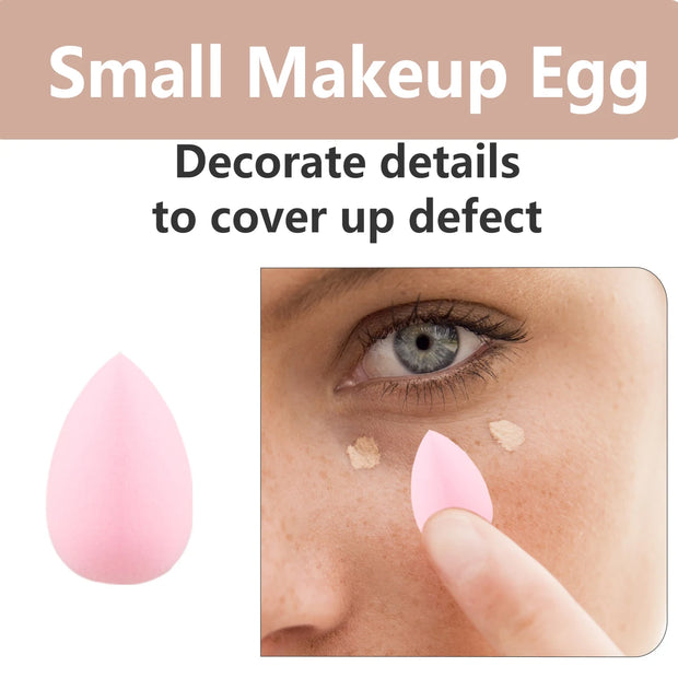 SkinSparkle® Sponge& Brushes Set