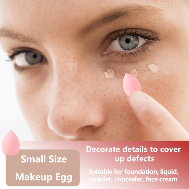 SkinSparkle® Sponge& Brushes Set